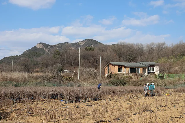 춘분이 지나면