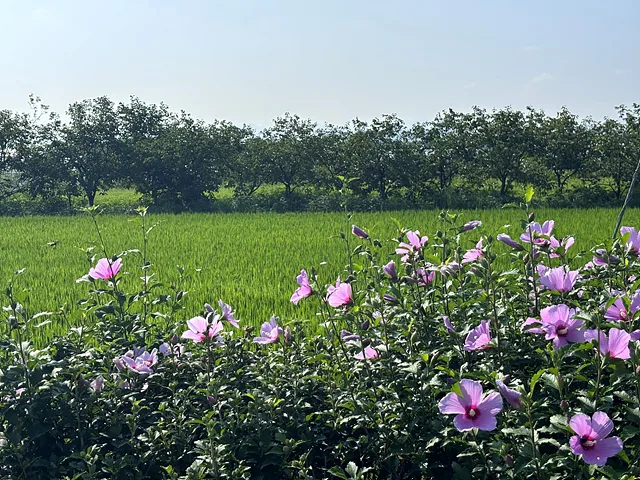 입추를 지나다