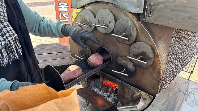 겨울의 즐거움