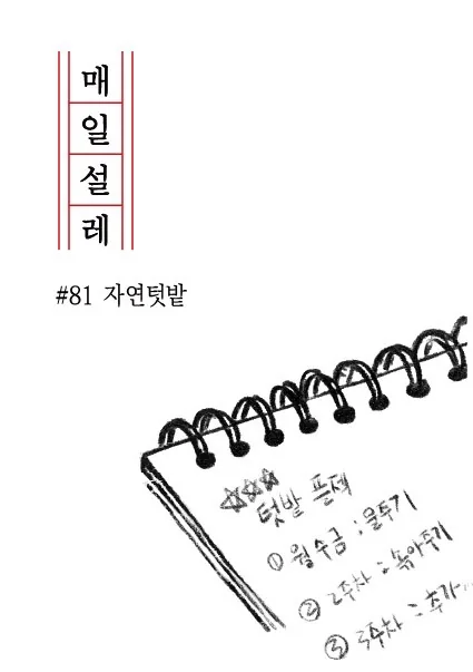 매일설레81 1