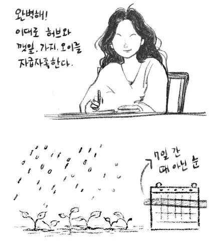 매일설레81 2