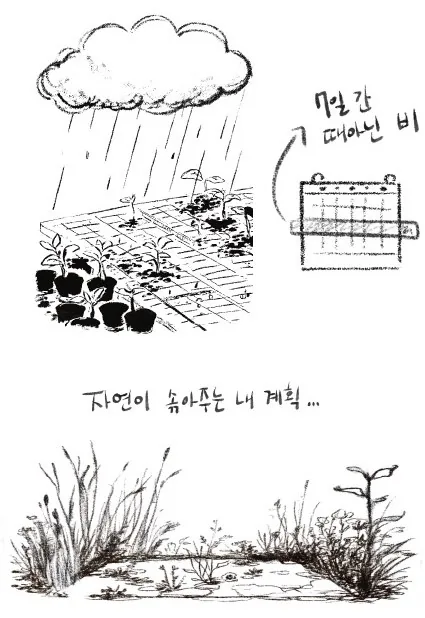 매일설레81 3