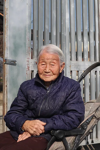 노말례 어르신